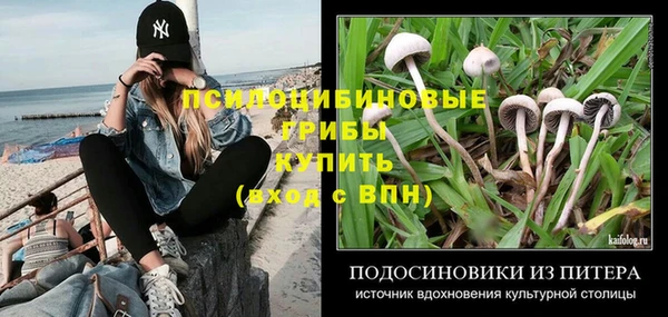 МДПВ Армянск