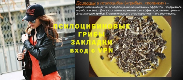 винт Аркадак