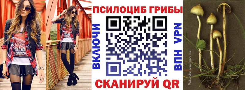 Псилоцибиновые грибы GOLDEN TEACHER  MEGA tor  Мензелинск 